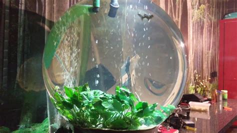 Fully Upgraded Planted Goldfish Aquarium biOrb 105 external filter ...