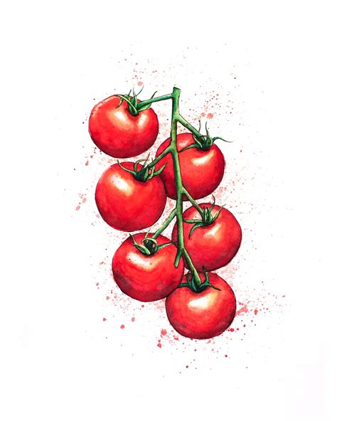 Tomatoes Watercolor Art Print Kitchen Wall Art Decor - Etsy