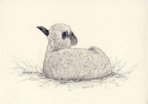 Original drawing RESTING LAMB