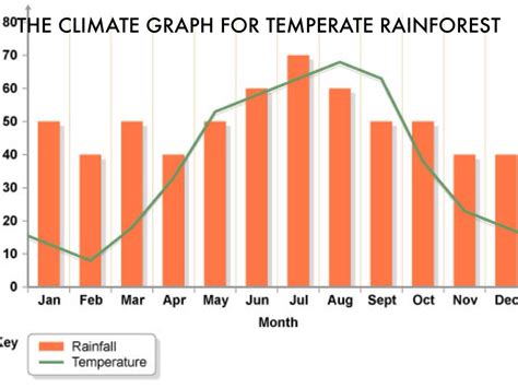 Tropical Rainforest Climate Graph