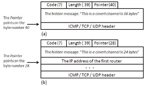 An ICMP packet carrying a hidden message | Download Scientific Diagram