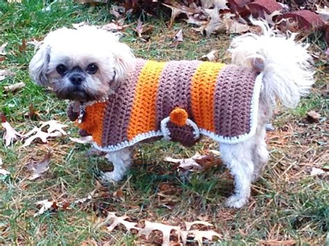 Crochet Dog Sweater Patterns You & Your Pup Will Love | Craftsy