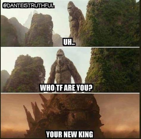 50+ Funny Godzilla V/S King Kong Memes