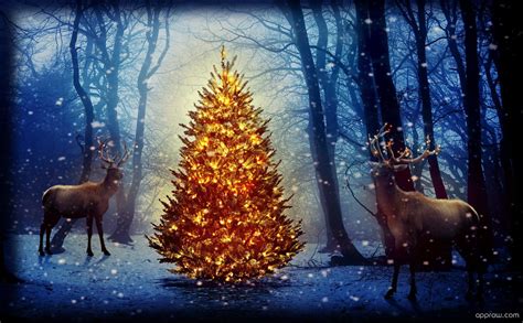 Christmas Deer Wallpapers - Wallpaper Cave