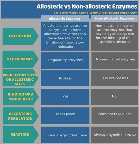 Allosteric Enzyme Regulation Is Usually Associated With - Cindy-has-Farrell