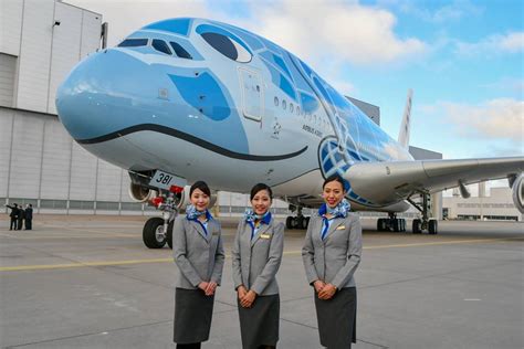 How to Apply ANA All Nippon Airways Cabin Crew Hiring - Cabin Crew HQ