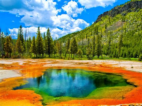 Para perderte... Yellowstone National Park - Wyoming USA | aznalfarache