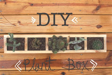 Love, Jessica Anne: DIY plant box