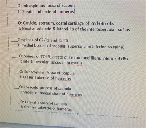 Solved Font Paragraph Styles 0: supraglenoid tubercle of | Chegg.com