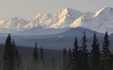 taiga, Mountains, Snow, Trees, Forest, Scenic Wallpapers HD / Desktop ...