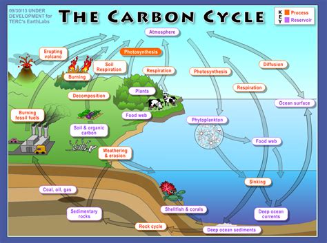 Carbon Dioxide for Kids | Mathematics for Sustainability: Student Blog Spring 2015