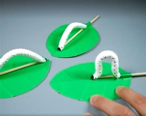 Super cute caterpillar bug craft how to video crafts for kids bugs ...