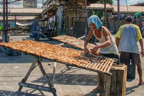 Scientists, communities battle against Philippine land reclamation ...