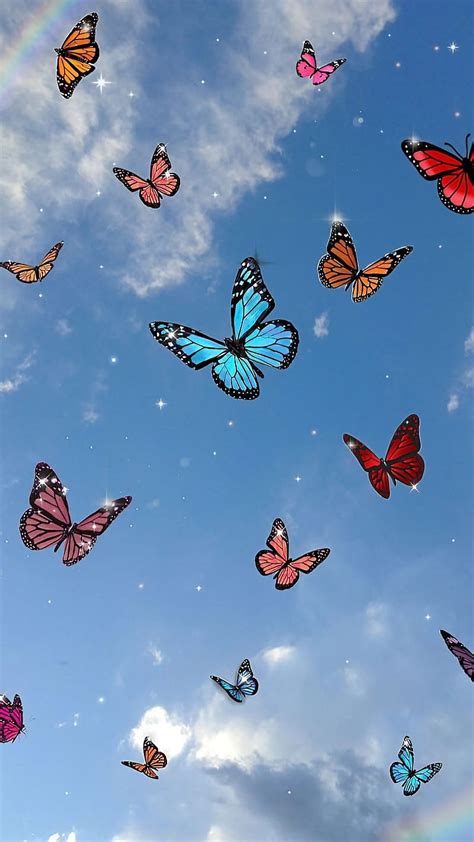 Cute Butterfly, Colorful Monarch Butterflies, colorful butterfly, rainbow background, HD phone ...