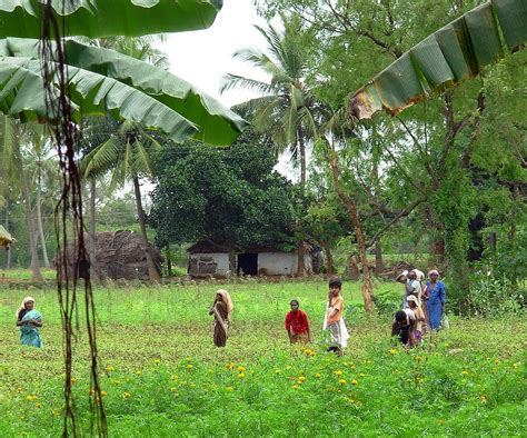 Village Life - Tamil Nadu | FabIndia | Flickr