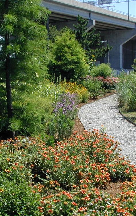 Riparian Buffers & Bay Friendly Gardens | Virginia Institute of Marine Science