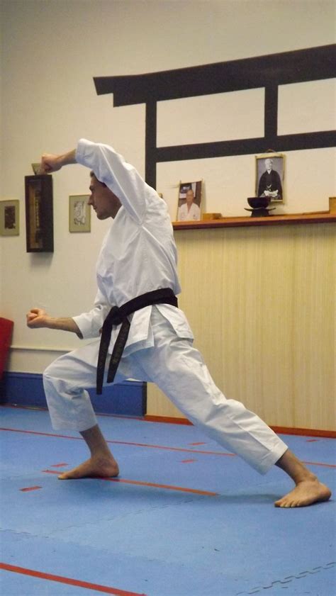 Bassai Dai | Shotokan karate, Comic art fans, Shotokan