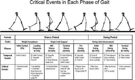 The Role of Gait Analysis in Treating Gait Abnormalities in Cerebral ...