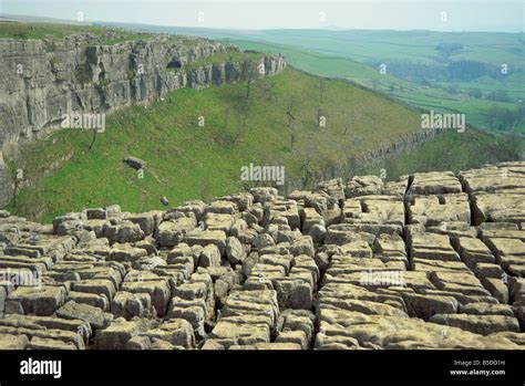 Limestone pavement Malham Cove Malham Yorkshire Dales National Park ...