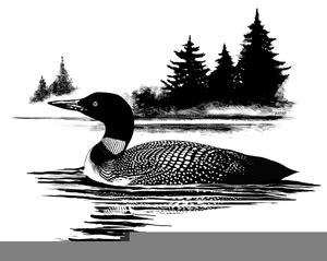 Loon Vector at GetDrawings | Free download