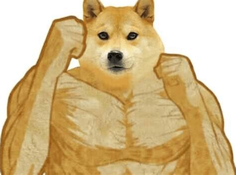 20+ Doge Meme Templates That Help You To Make Hilarious Memes | Memes.co.in