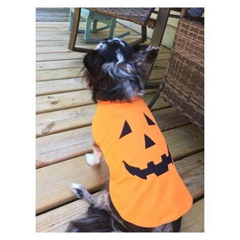 Dog Pumpkin Costume/Pet Pumpkin Costume/Halloween Pumpkin | Etsy