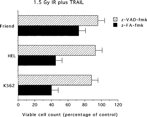 Evaluation of caspase inhibitors on the combined cytotoxicity of IR ...