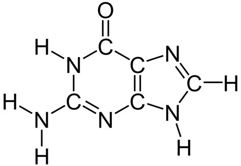 Proteins - Organic Compounds