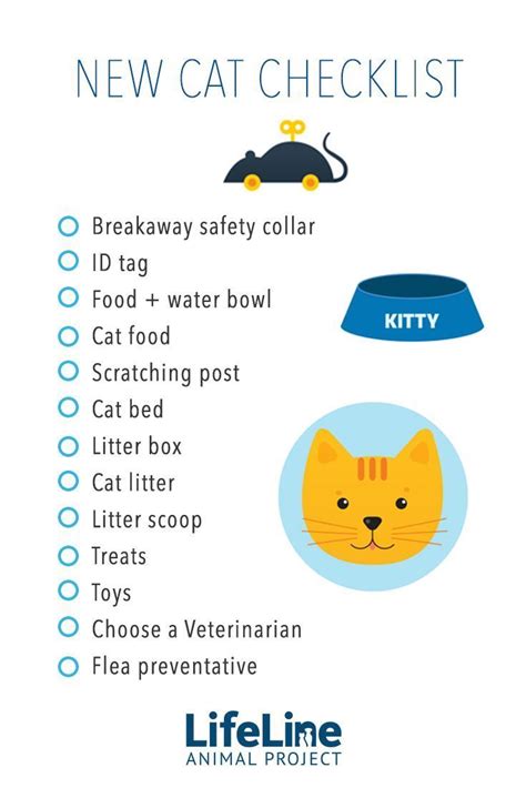 Be prepared when you bring home your new adopted cat with this handy ...