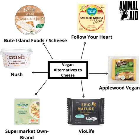 A Guide to Vegan Dairy Alternatives - Animal Aid