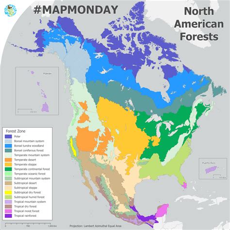 North American Forests