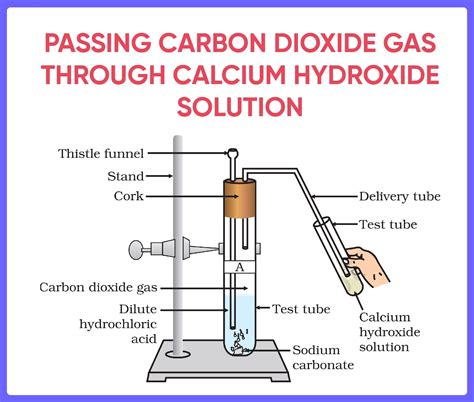 Reactions of Acids and Bases - Full list (with Examples) - Teachoo