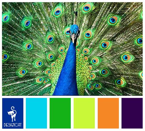 Vibrant Peacock Colors: Inspiring Palette for Your Designs