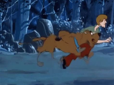 Scooby Doo Run GIF - ScoobyDoo Scooby Shaggy GIFs Cartoon Gifs, Cartoon Shows, Scooby Doo ...