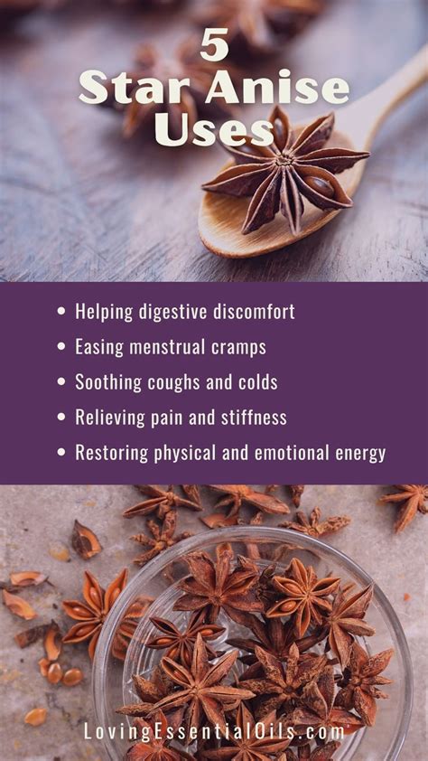 Star Anise Essential Oil Recipes, Uses and Benefits Spotlight | Recipe | Essential oil recipes ...