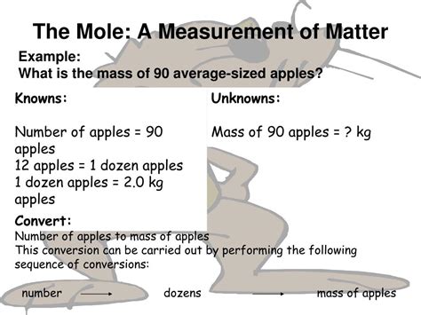 PPT - The Mole: A Measurement of Matter PowerPoint Presentation, free download - ID:6787891