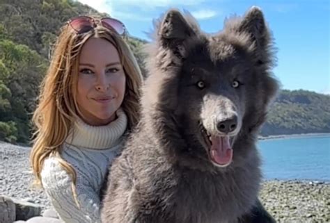 Woman Introduces Her Super-Rare Blue Wolf Pup and She's Already a Sensation - Newsweek