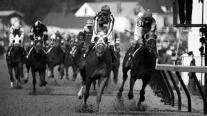 Kentucky Derby HD Wallpapers (100++) - MrWallpaper.com