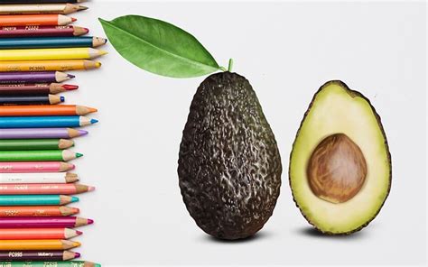 How to Draw an Avocado - Create a Delicious Avocado Drawing