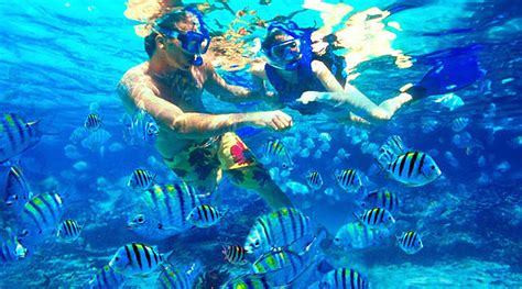 Blue Lagoon Padangbai Snorkeling - Inclusive Bali Tour