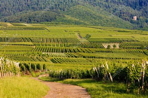 Vineyards, Alsace, France — Stock Photo © phb.cz #4167444