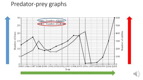 Predator prey graphs narrated - YouTube