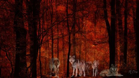 Wolves Autumn Wallpapers - Wallpaper Cave