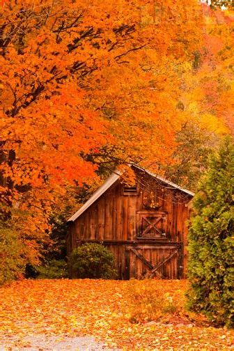 Autumn fall foliage in Vermont via 500px | Autumn scenery, Autumn ...