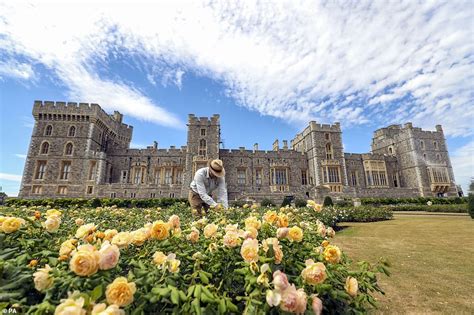 Windsor Castle East Terrace Garden prepares to open for the first time ...