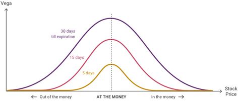 Options Guide: Types, Terms, & Trading Strategies