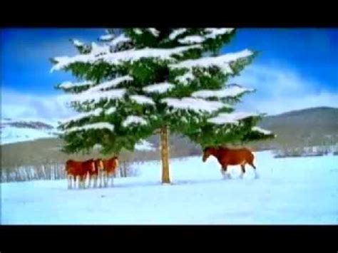 Budweiser "Snowball" | Clydesdale, Clydesdale horses, Budweiser clydesdales