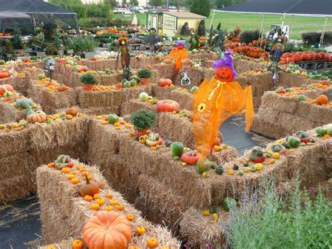 Fall festival to feature hayride, maze, petting zoo – Blue Ribbon News