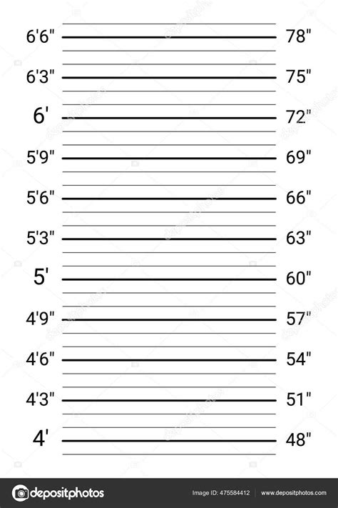 Mugshot Background Police Lineup Wall Imperial Units Scale Stock Vector by ©arseniuk_oleksii ...