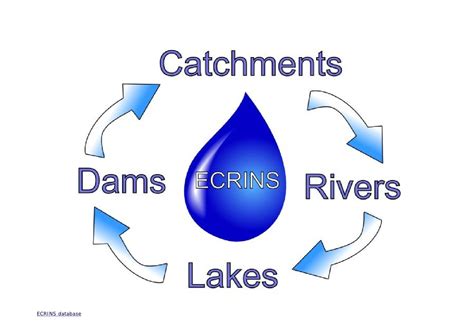 2010 - Environmental impacts of hydropower